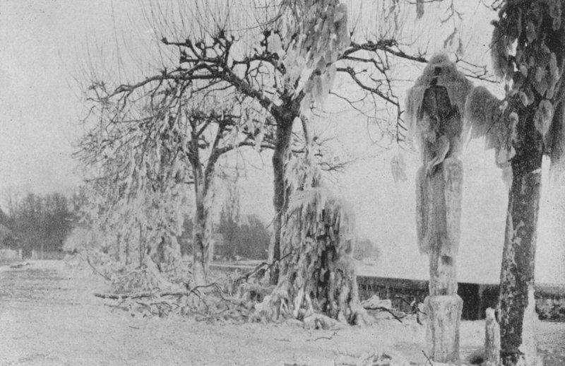 På Paquis i Genève, vintern 1896 (s/v foto) av Swiss Photographer