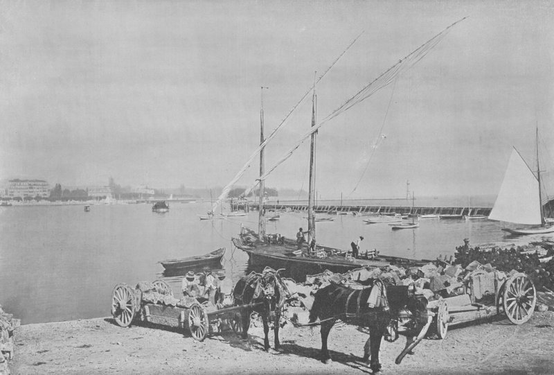 Geneve, Le Port (s/v foto) av Swiss Photographer