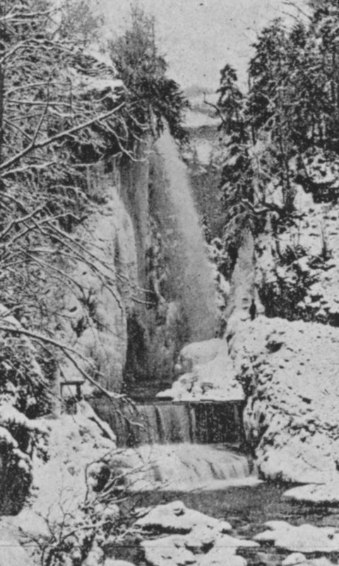 Taubenloch Gorges, nära Biel på vintern (s/v foto) av Swiss Photographer