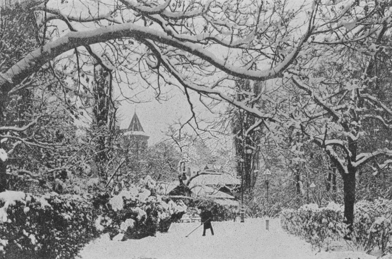 Neuchatel, The English Garden (s/v foto) av Swiss Photographer