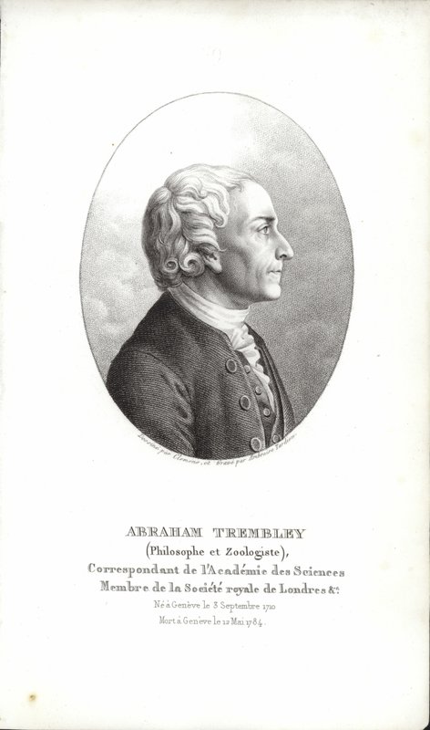 Abraham Trembley av Swiss School