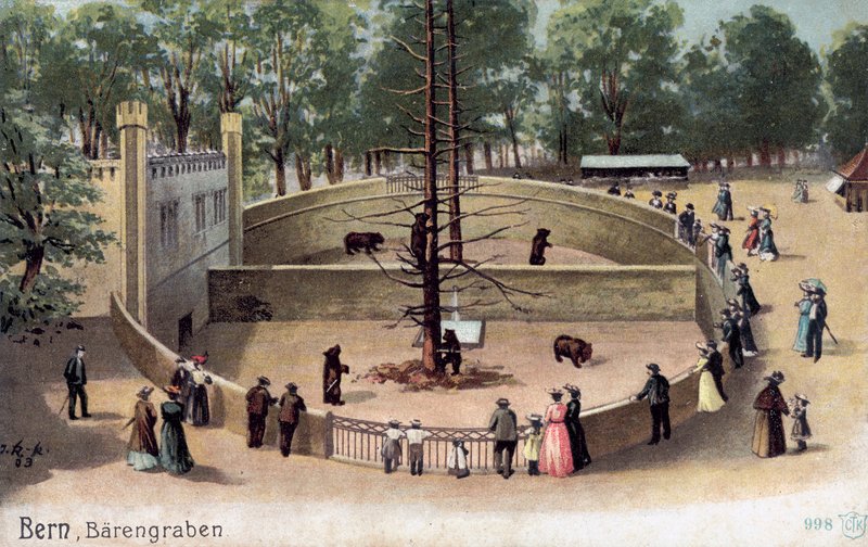 Bern, Bear Garden (färg litho) av Swiss School