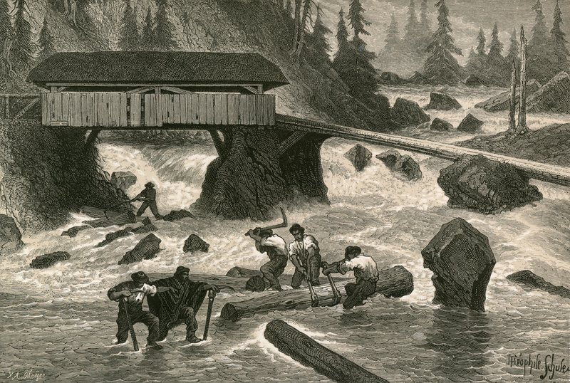 Wood-Floaters av Swiss School