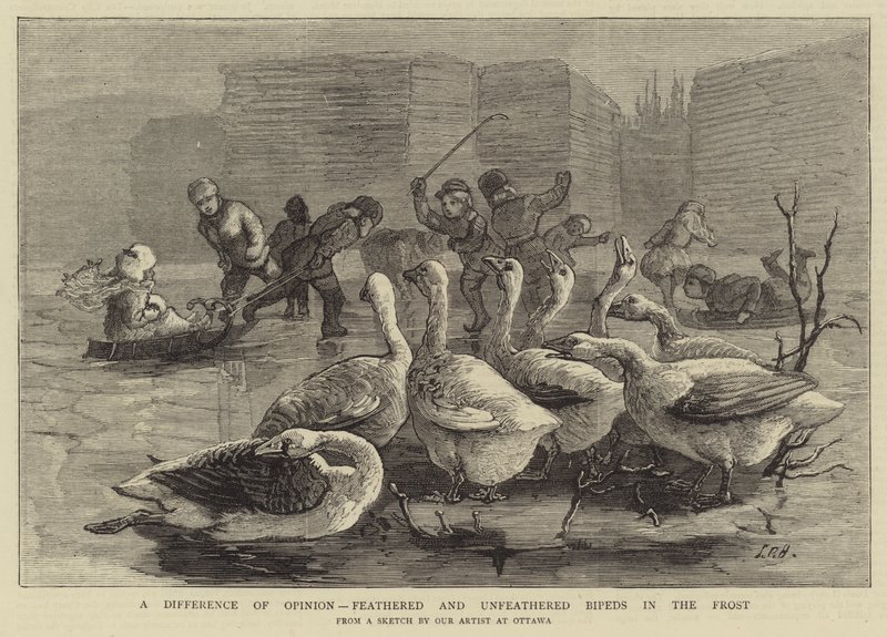 En åsiktsskillnad, fjäderbefjädrade och obefjädrade Bipeds in the Frost av Sydney Prior Hall