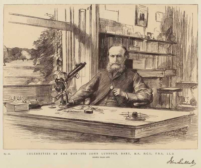 Dagens kändisar, Sir John Lubbock, Baronet, MP, DCL, FRS, LLD av Theodore Blake Wirgman