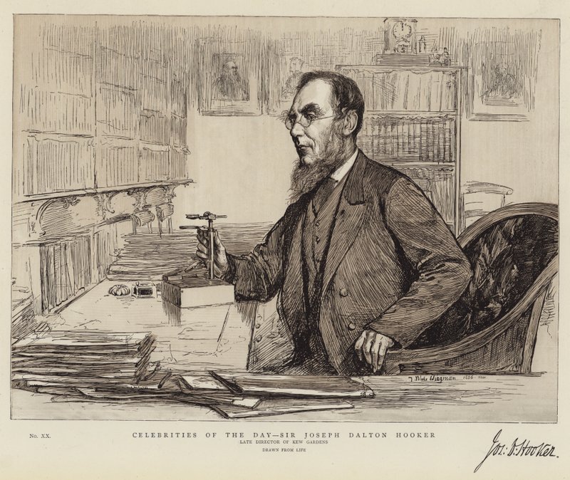 Dagens kändisar, Sir Joseph Dalton Hooker av Theodore Blake Wirgman