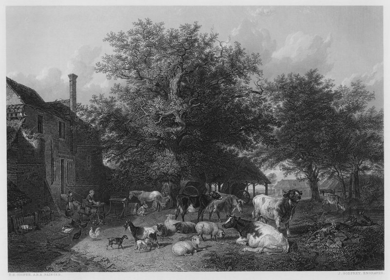 The Farm-Yard, från bilden i Vernon Gallery av Thomas Sidney Cooper