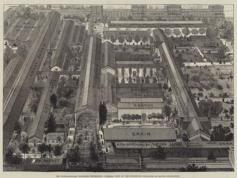 Den internationella fiskeutställningen, allmän bild av utställningsbyggnaderna i South Kensington av Thomas Sulman