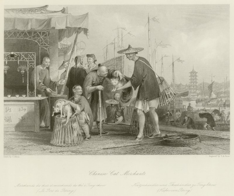 kinesiska katthandlare av Thomas Allom