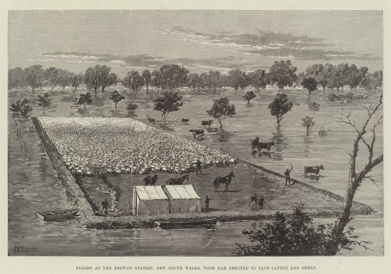 Översvämningar vid Brewon Station, New South Wales, med dammen byggd för att rädda boskap och får av Thomas Harrington Wilson