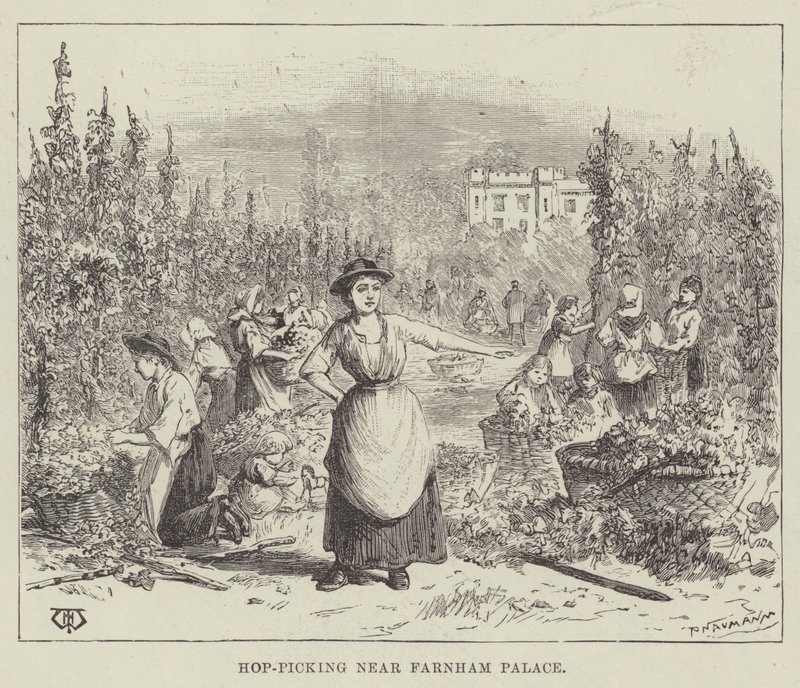 Hoppplockning nära Farnham Palace av Thomas Harrington Wilson