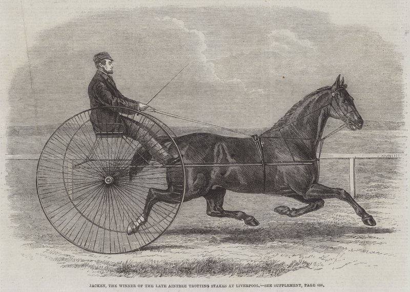 Jackey, vinnaren av framlidne Aintree Trotting Stakes i Liverpool av Thomas Harrington Wilson