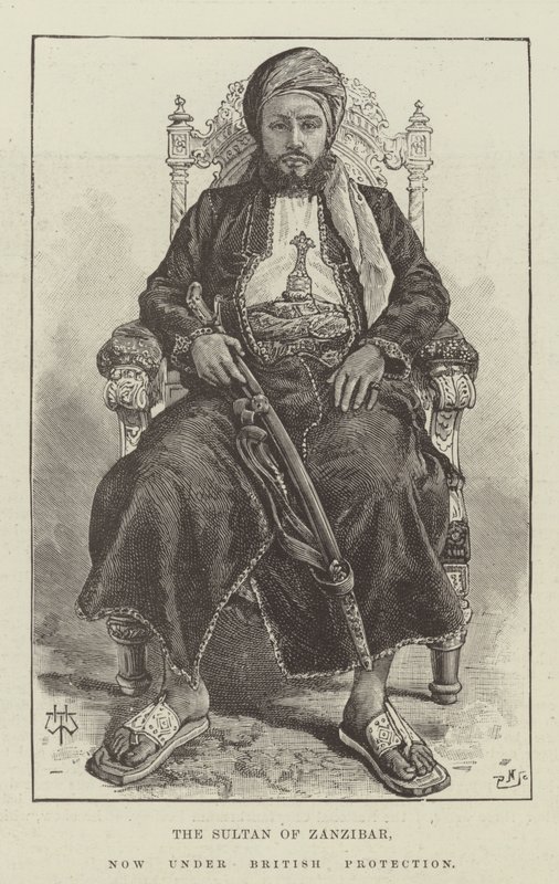 Sultanen av Zanzibar, nu under brittiskt skydd av Thomas Harrington Wilson