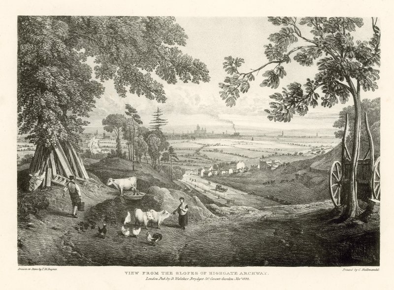 Utsikt från sluttningarna av Highgate Archway av Thomas Mann Baynes