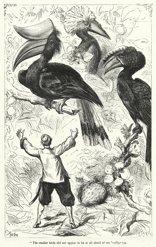 Illustration för Gullivers resor av Jonathan Swift (gravyr) av Thomas Morten