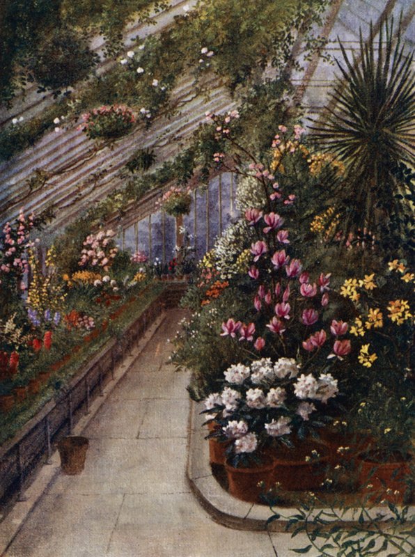 Kew Gardens: The Green House (färg litho) av Thomas Mower Martin