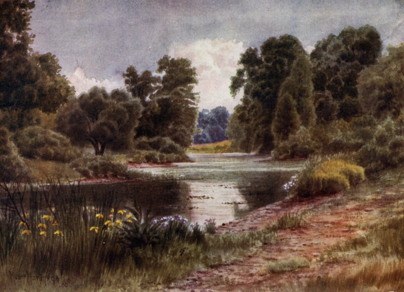 Kew Gardens: The Lake, Looking South (färg litho) av Thomas Mower Martin