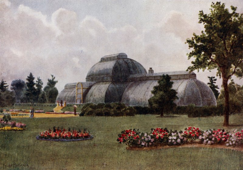 Kew Gardens: The Palm House (färg litho) av Thomas Mower Martin