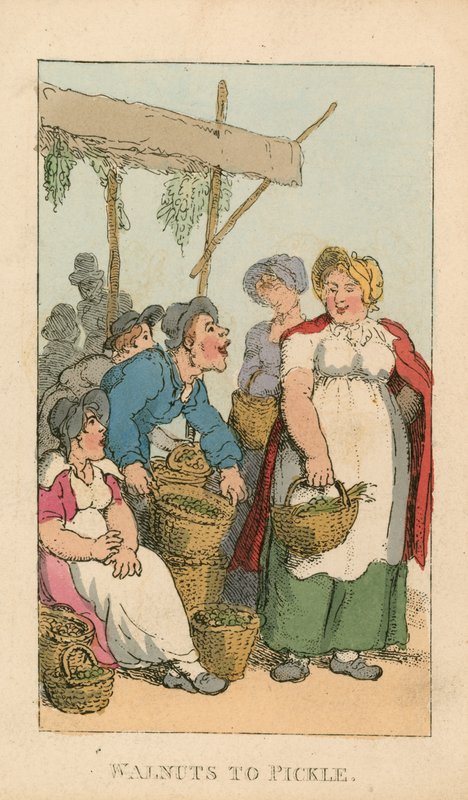 Valnötter att sylta av Thomas Rowlandson