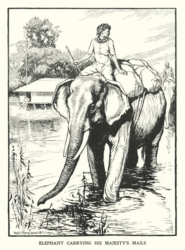 Elefant som bär Hans Majestäts post (litografi) av Thomas Somerfield