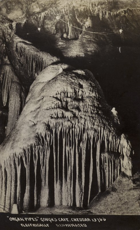 Orgelpipor, Gough