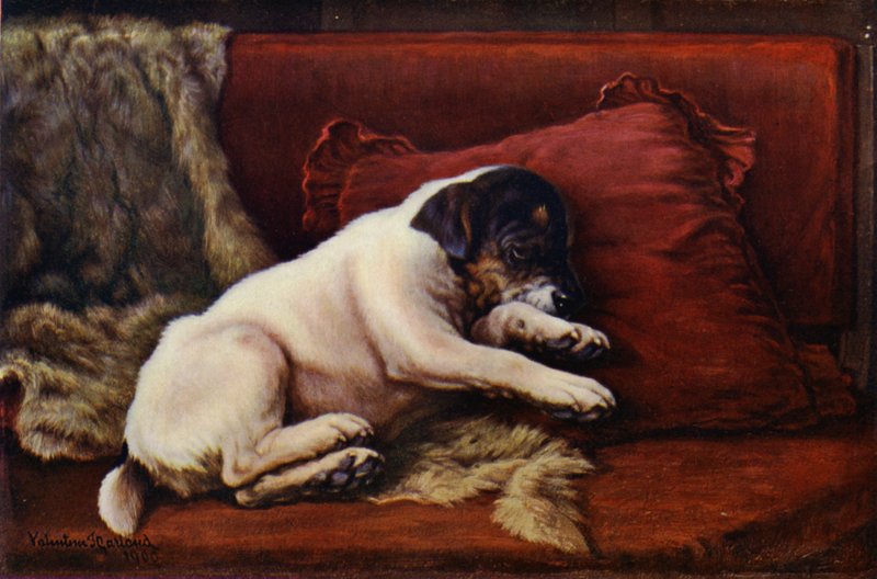 En eftermiddagssnooze (litho i färg) av Valentine Thomas Garland