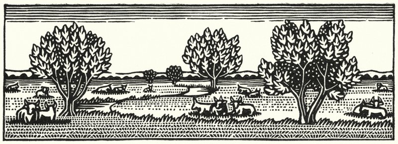 Illustration för Tess Of The D’Urbervilles av Thomas Hardy (gravyr) av Vivien Gribble