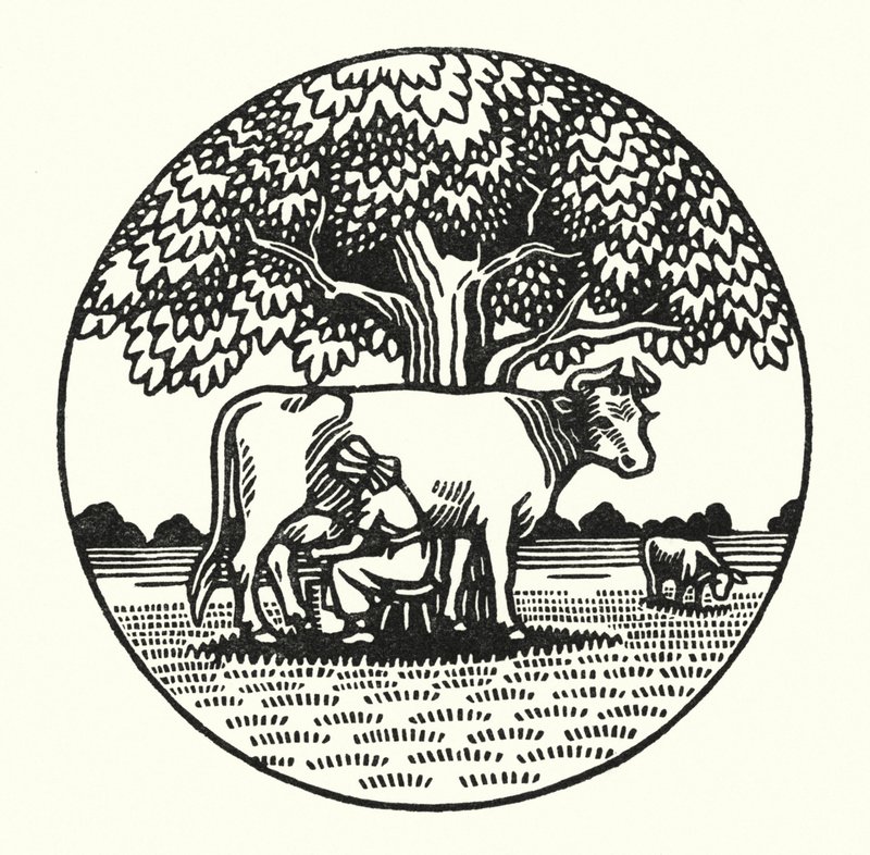 Illustration för Tess Of The D’Urbervilles av Thomas Hardy (gravyr) av Vivien Gribble
