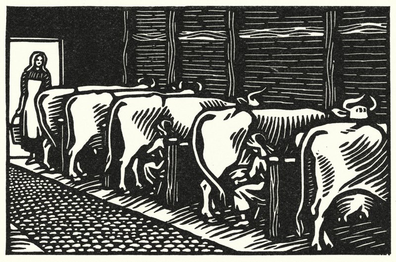 Illustration för Tess Of The D’Urbervilles av Thomas Hardy (gravyr) av Vivien Gribble