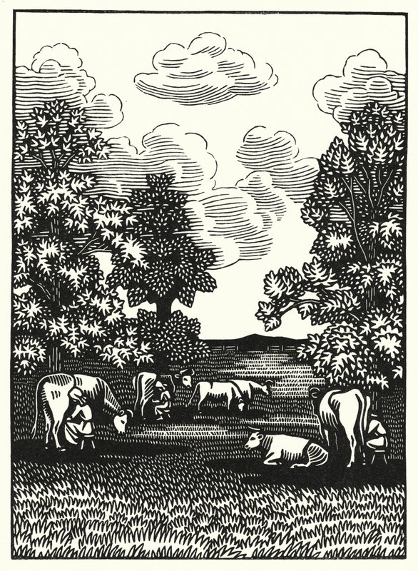 Illustration för Tess Of The D’Urbervilles av Thomas Hardy (gravyr) av Vivien Gribble