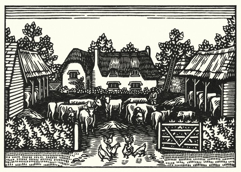 Illustration för Tess Of The D’Urbervilles av Thomas Hardy (gravyr) av Vivien Gribble