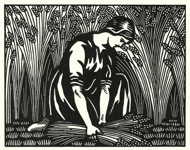 Illustration för Tess Of The D’Urbervilles av Thomas Hardy (gravyr) av Vivien Gribble