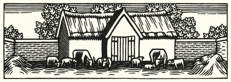 Illustration för Tess Of The D’Urbervilles av Thomas Hardy (gravyr) av Vivien Gribble