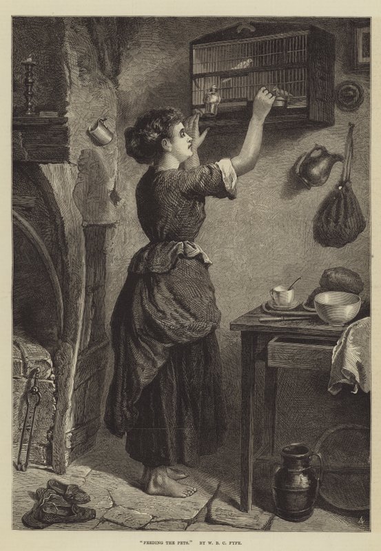 Mata husdjuren av W. Fyfe