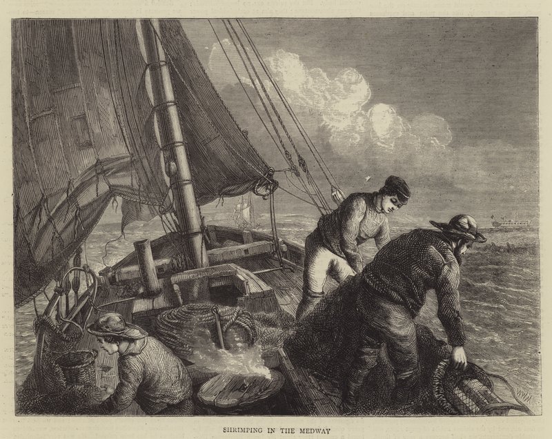 Räkfiske i Medway av Walter William May