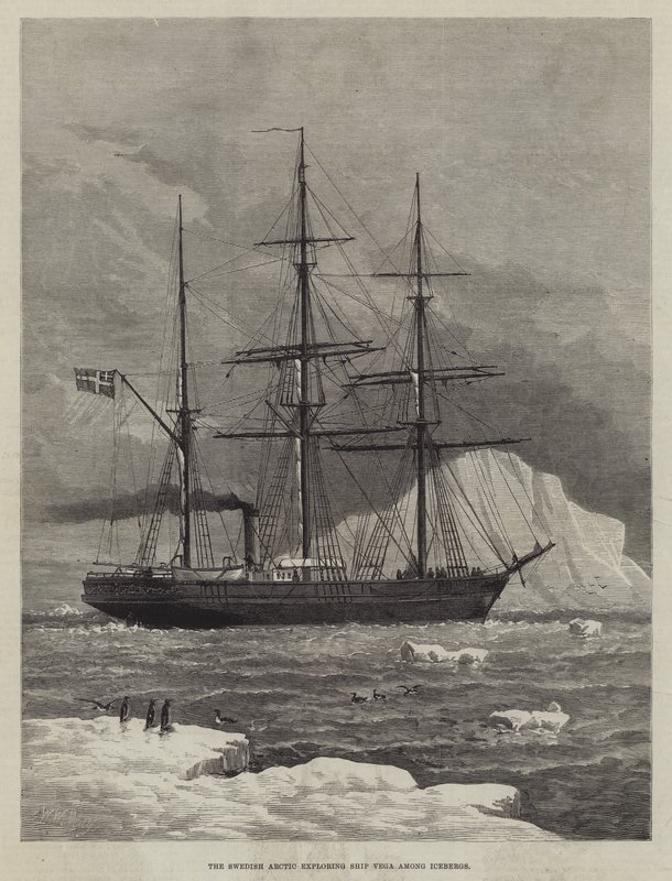 Svenska Arktis utforskar Ship Vega bland isberg av Walter William May