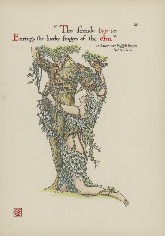 Blommor från Shakespeares trädgård av Walter Crane