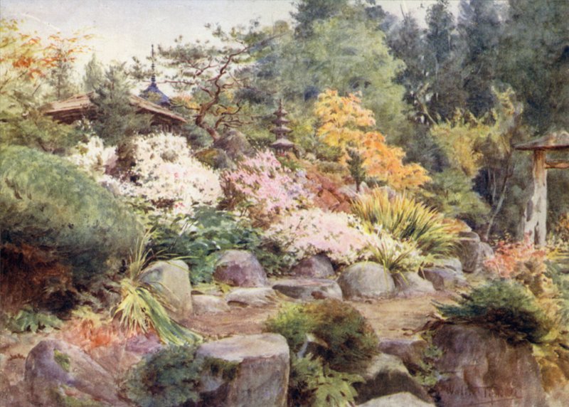 En stenträdgård på Nikko, Cosmos och Maple av Walter Frederick Roofe Tyndale