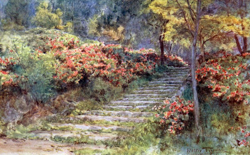Azaleor vid en gammal trappa, Kyoto av Walter Frederick Roofe Tyndale