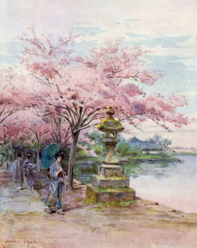 Cherry Blossom and Stone Lantern, Ueno Park av Walter Frederick Roofe Tyndale
