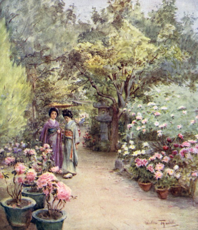 Pioner i en teträdgård, Kyoto av Walter Frederick Roofe Tyndale