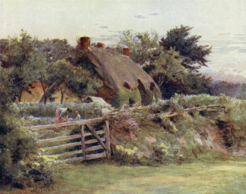 The New Forest: Stuga nära Brokenhurst (färg litho) av Walter Frederick Roofe Tyndale
