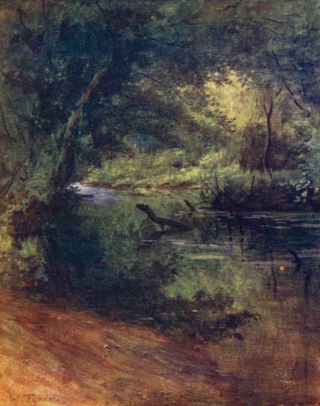 The New Forest: Northgate, nära Culverley, i Lodge Walk (färg litho) av Walter Frederick Roofe Tyndale