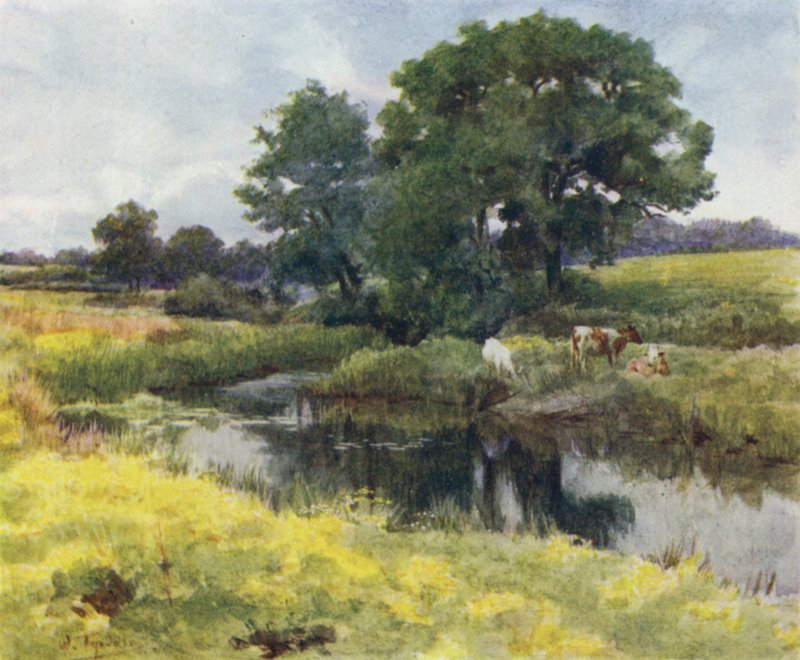 The New Forest: On the Lymington River (färg litho) av Walter Frederick Roofe Tyndale