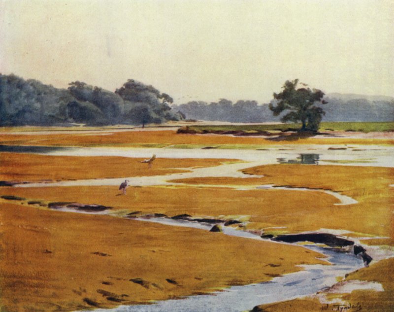 The New Forest: The Beaulieu River (färg litho) av Walter Frederick Roofe Tyndale