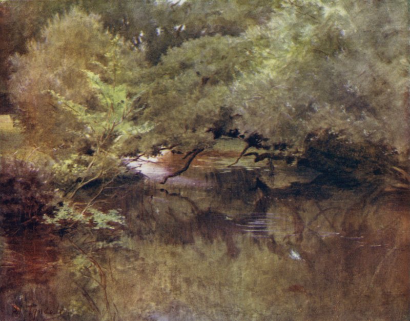 The New Forest: Lymington River vid Royden, nära Boldre (färg litho) av Walter Frederick Roofe Tyndale