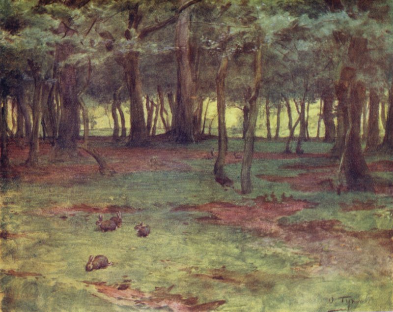 The New Forest: The Woods in Setley Plain (färg litho) av Walter Frederick Roofe Tyndale