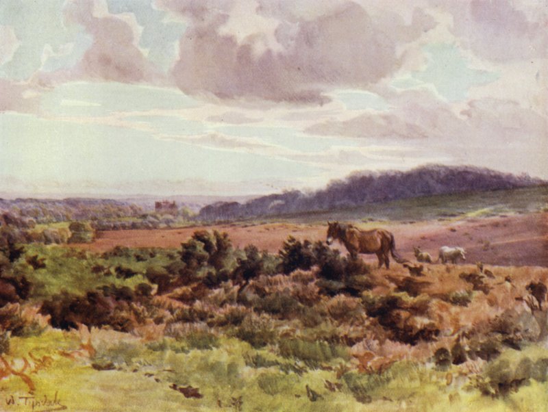 The New Forest: Utsikt från Picket Post på Ringwood Road (färg litho) av Walter Frederick Roofe Tyndale