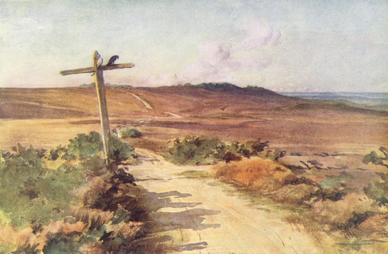 Wessex: Bere Heath på hösten, med Gallows Hill i fjärran (färglitografi) av Walter Frederick Roofe Tyndale
