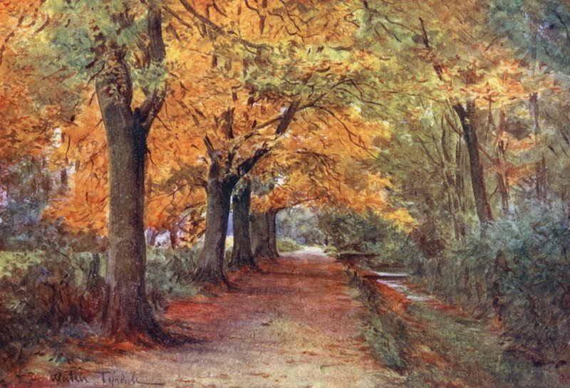 Wessex: Bockhampton Bank, nära Dorchester (färglitografi) av Walter Frederick Roofe Tyndale
